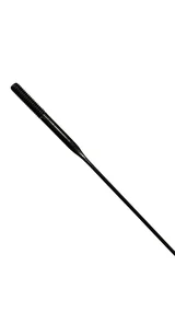 Sapim CX-Ray spokes