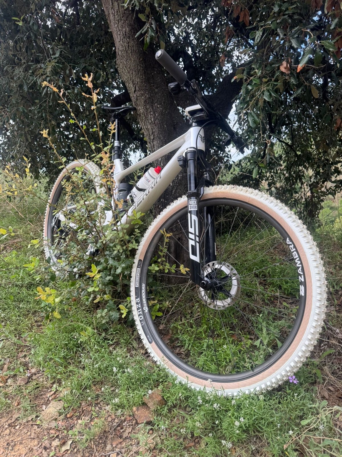 ZAMBRA customer's bike